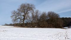 (1) Eisnadeln als Schnee und nadelförmiger Raureif ...