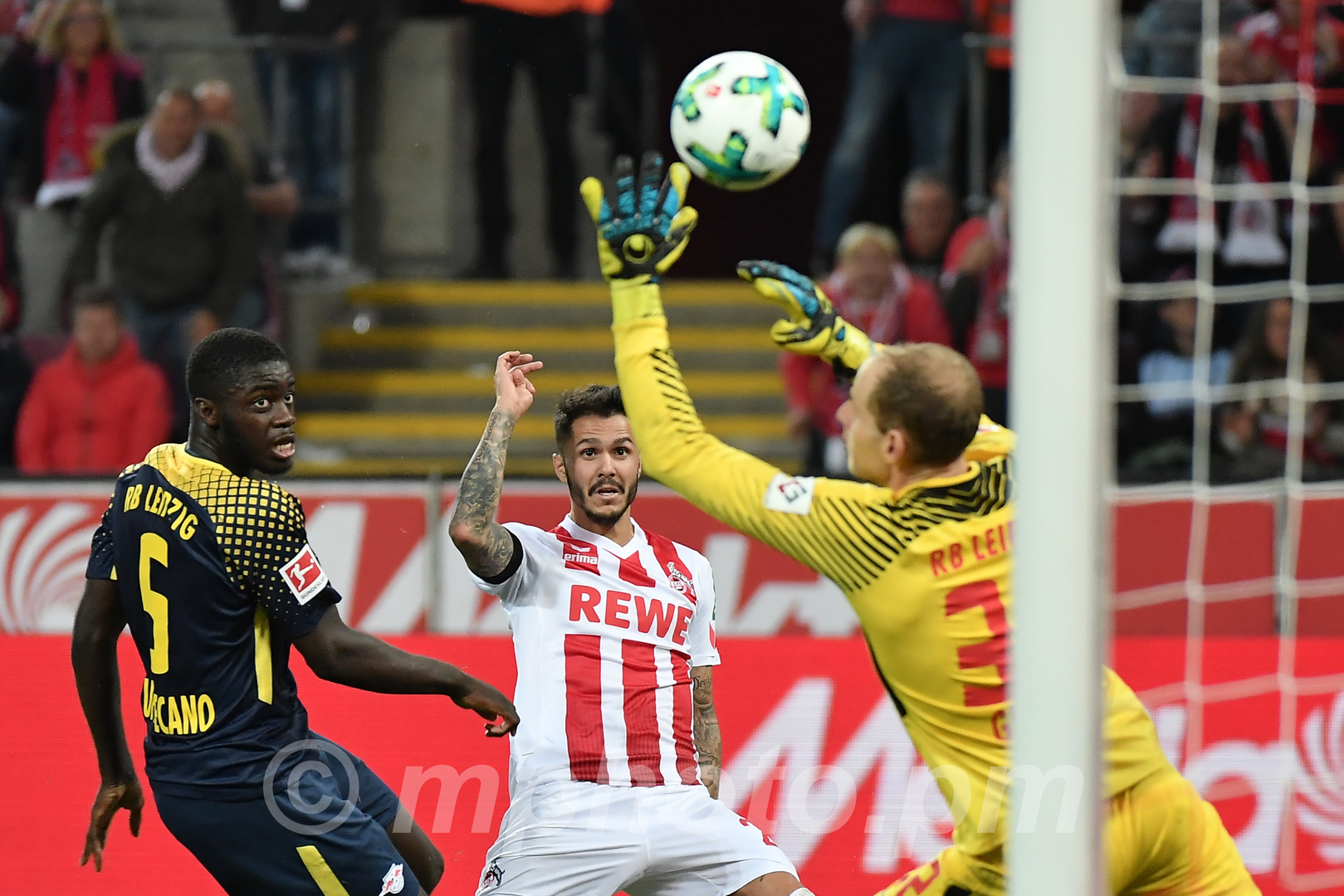 Fc Köln Leipzig Fc Köln Leipzig