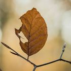 1-Fotoschule-Fotoaufgabe