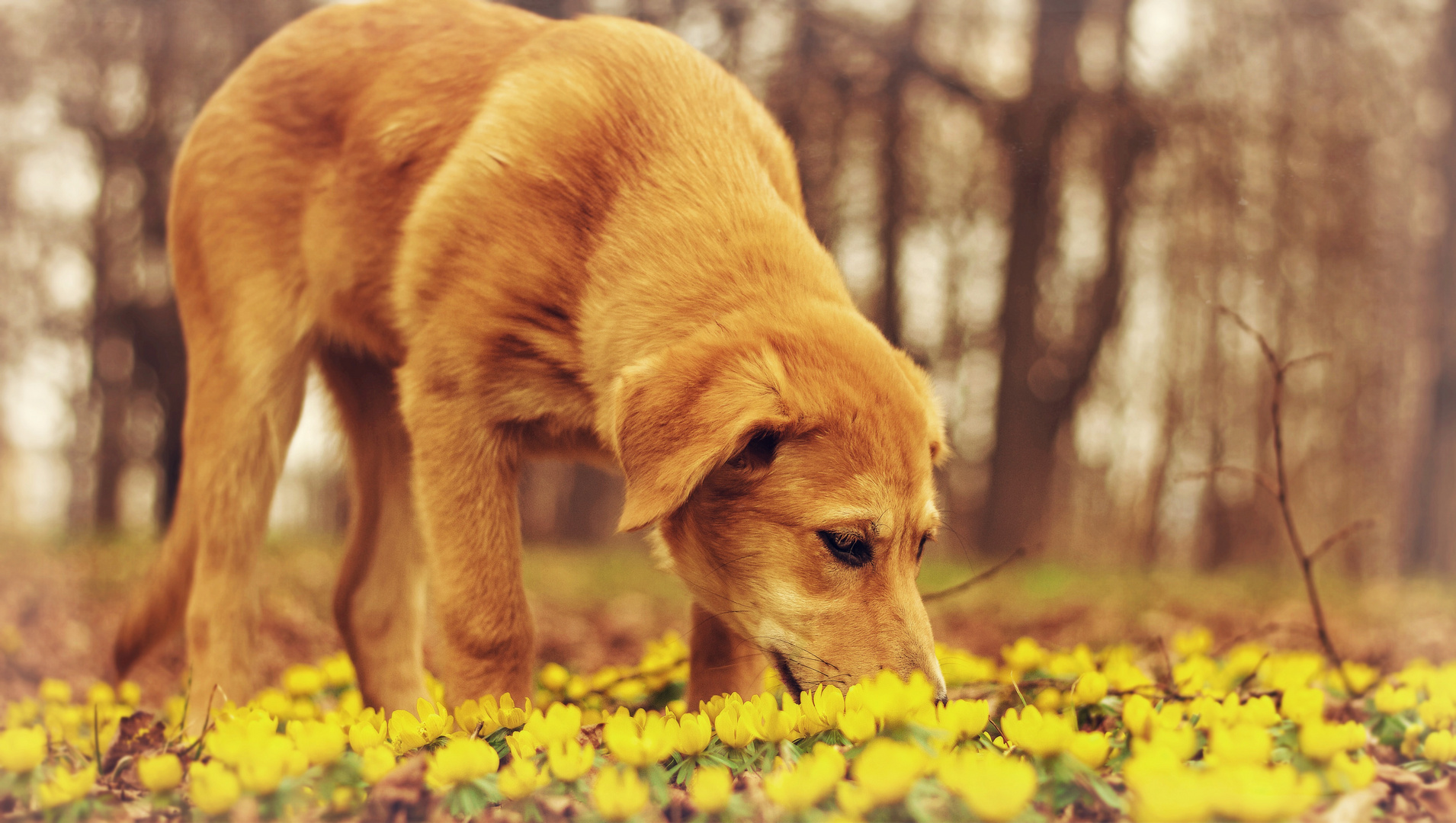 1. Frühling