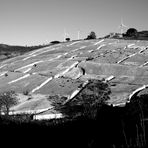 1. Gibellina Vecchia, Il Cretto di Burri - Per non dimenticare