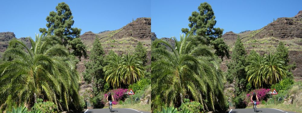 1. _ Gran Canaria _ X View _