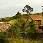 #1 Hobbiton Movie Set - New Zealand