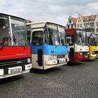 1. Ikarus-Treffen in Erfurt