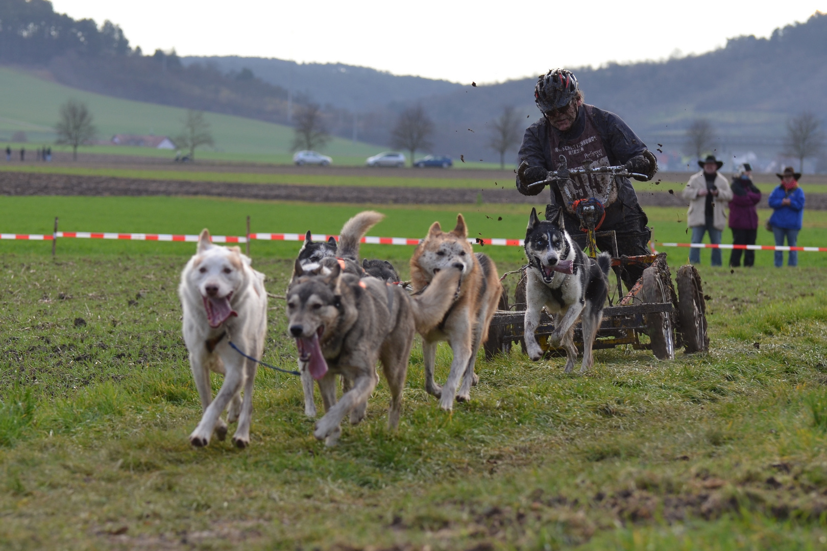 1. Internationales Schlittenhunderennen Zellingen 2013 - 2