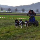 1. Internationales Schlittenhunderennen Zellingen 2013