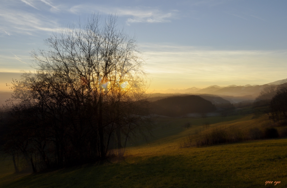 1. _ Juraweid / Biberstein / Kt. Aargau / Schweiz