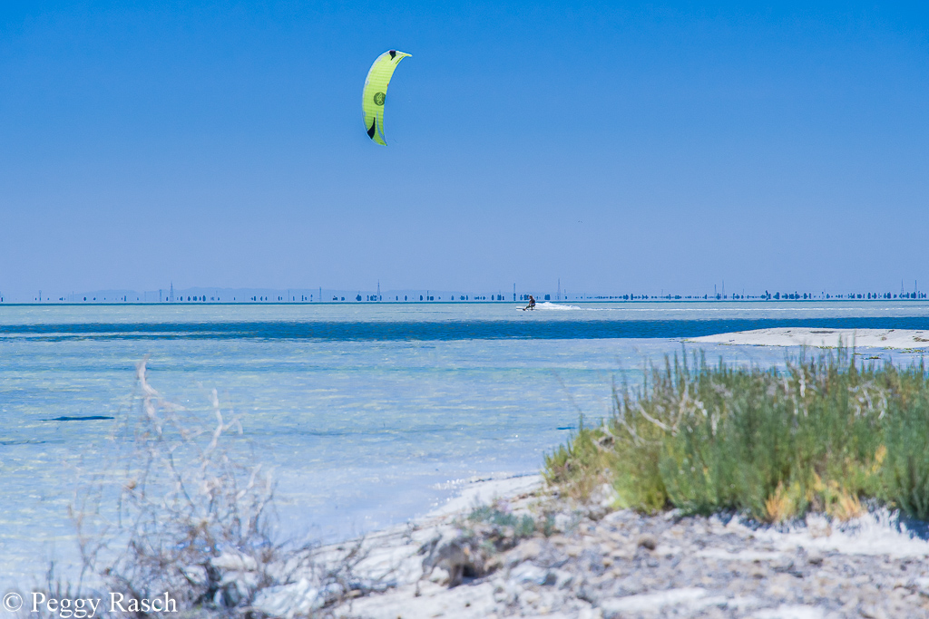 1 Kiter zwischen Djerba und dem Festland