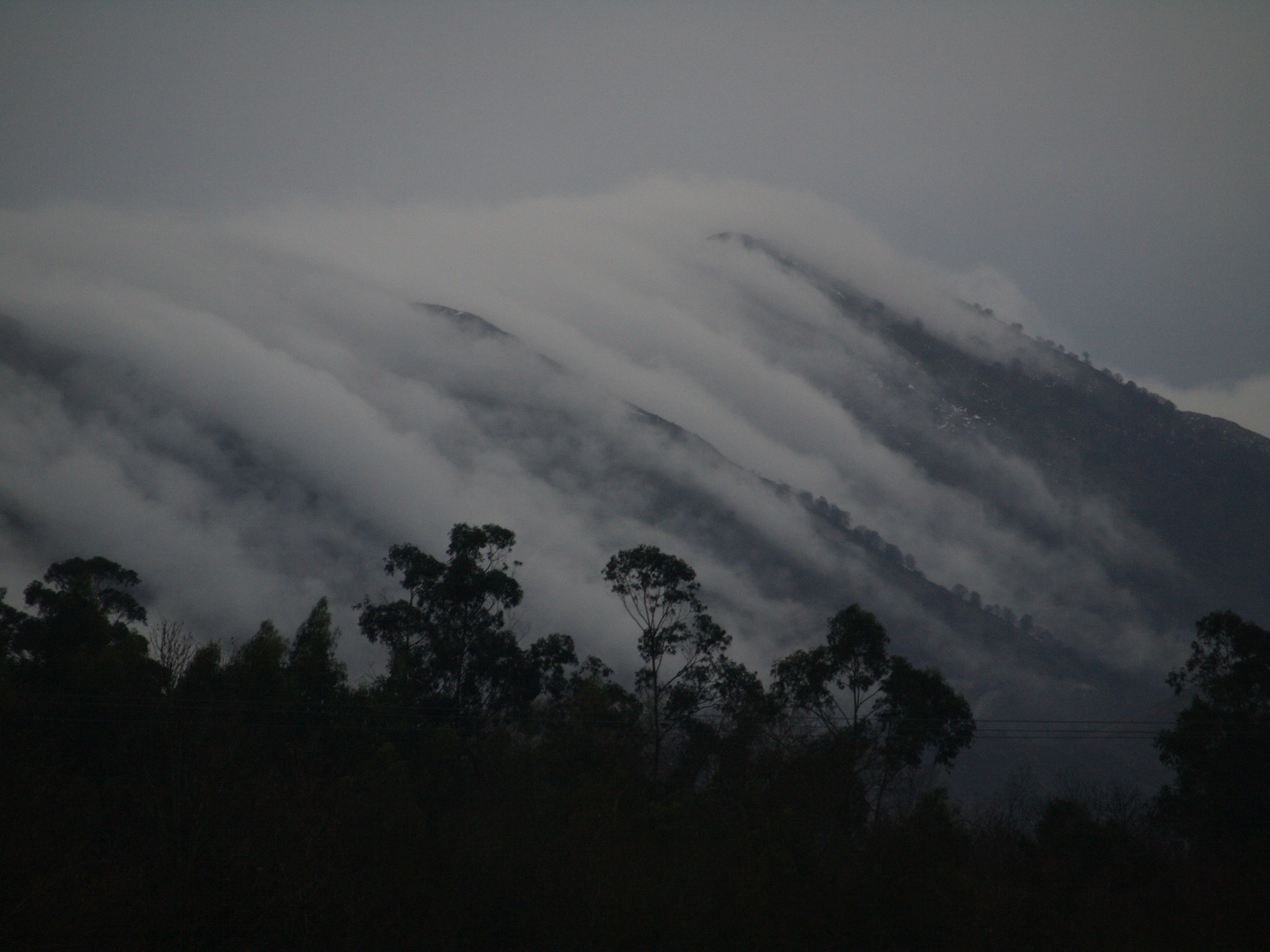 1º La niebla lo oculta