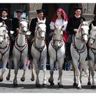 1 Maggio 2008 - Sagra di Sant'Efisio a Cagliari - I Magnifici 7 più una