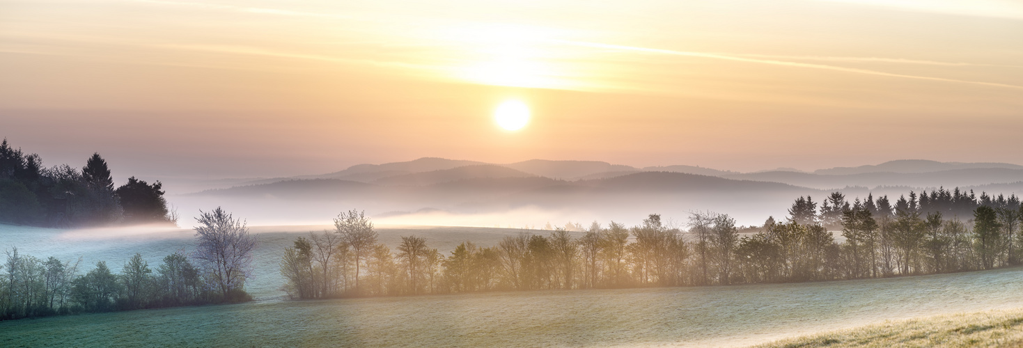 1. Mai 2015, 6:15 - Hürs Nück, Reifferscheid, Eifel