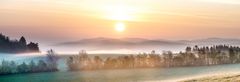 1. Mai 2015, 6:15 - Hürs Nück, Reifferscheid, Eifel