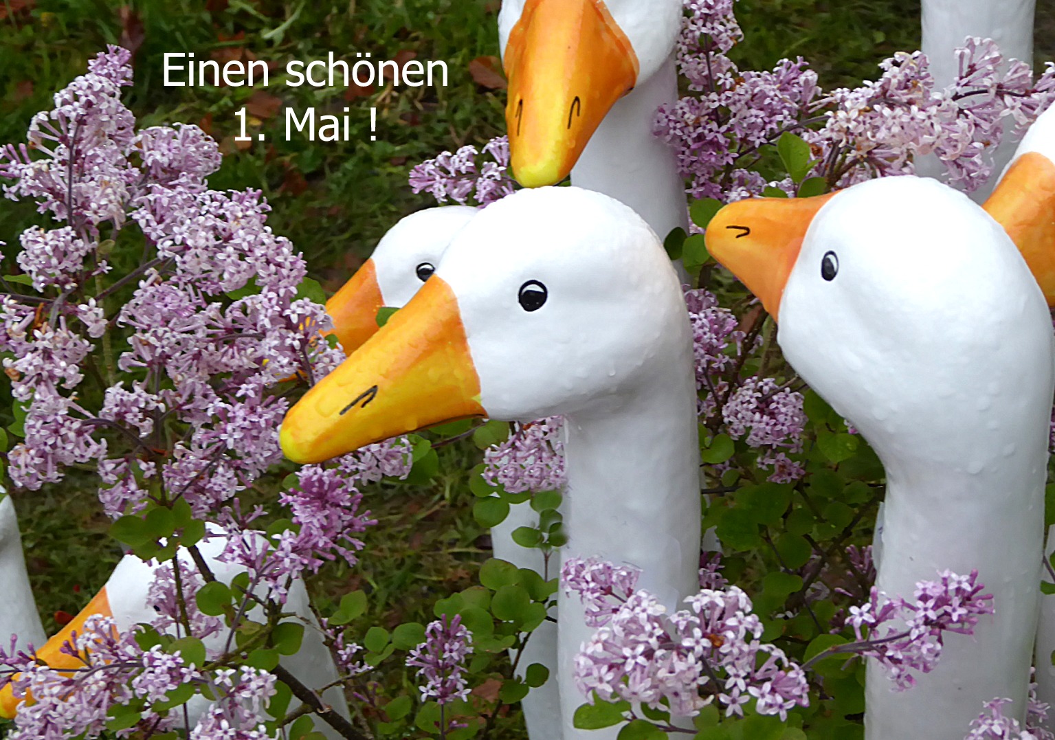 43+ Kostenlose Lustige Sprüche Schönen 1 Mai, Damit euer mai so schön