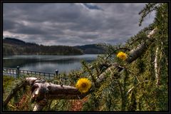 1. Mai am Hennesee