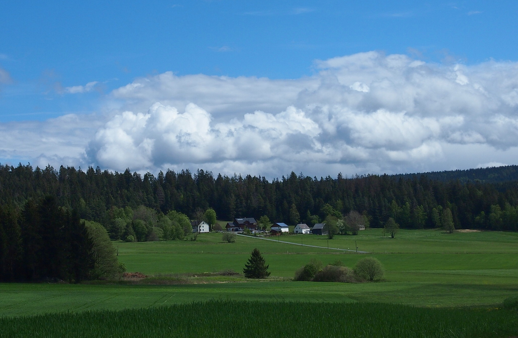 1. Mai am Oberhaidberg