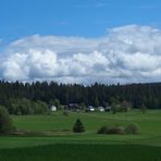 1. Mai am Oberhaidberg