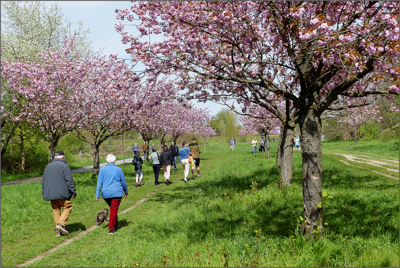1. Mai Ausflug am Mauerweg (BerlinBrandenburg) Foto & Bild