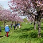 1. Mai - Ausflug am Mauerweg (Berlin-Brandenburg)