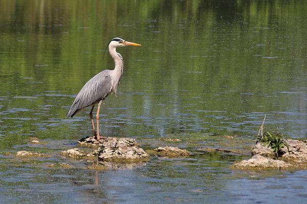 1. Mai, ich bin so frei..........