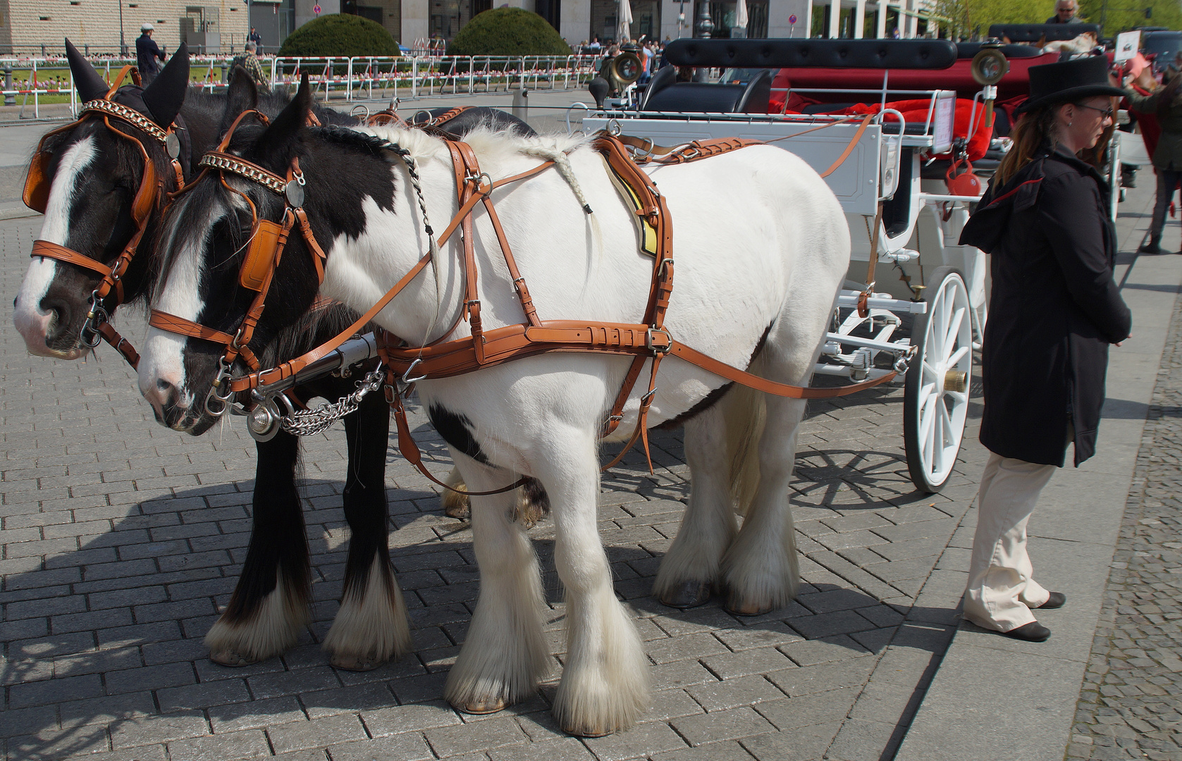 1. Mai in Berlin – Tinker