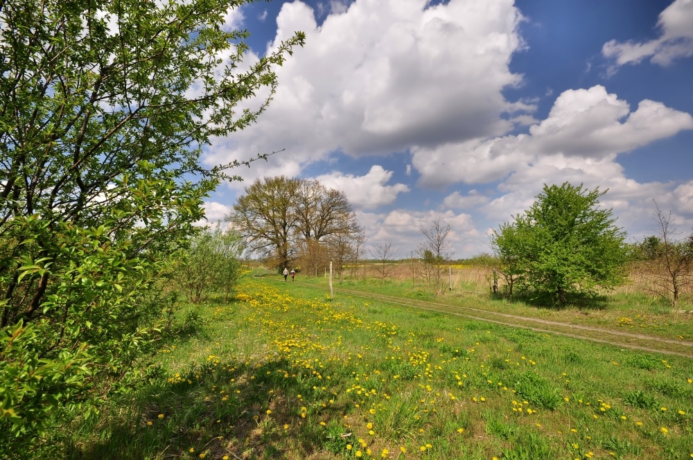 1 Mai Spaziergang.....