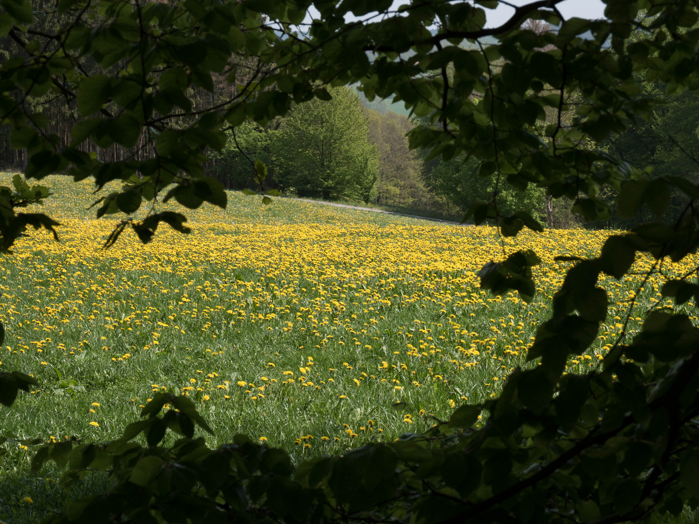 1. Mai Wanderung