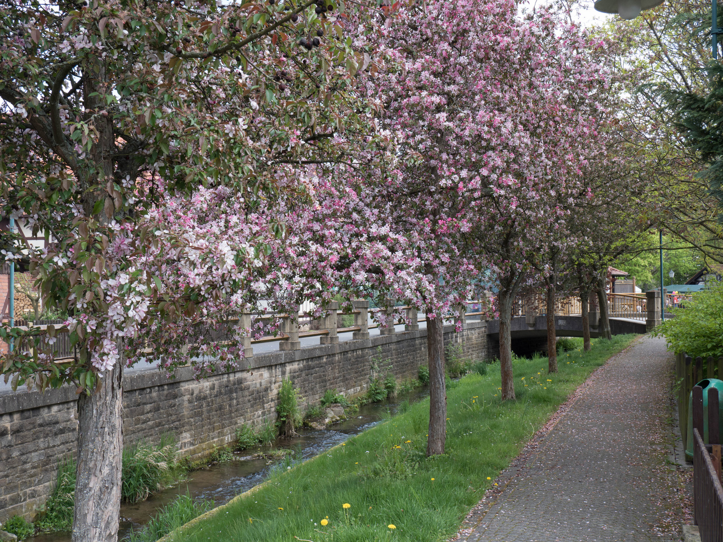 1. Mai Wanderung