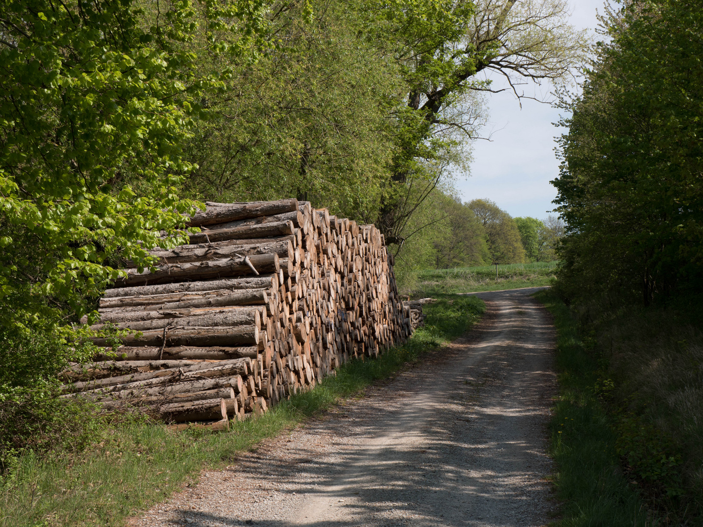 1. Mai Wanderung