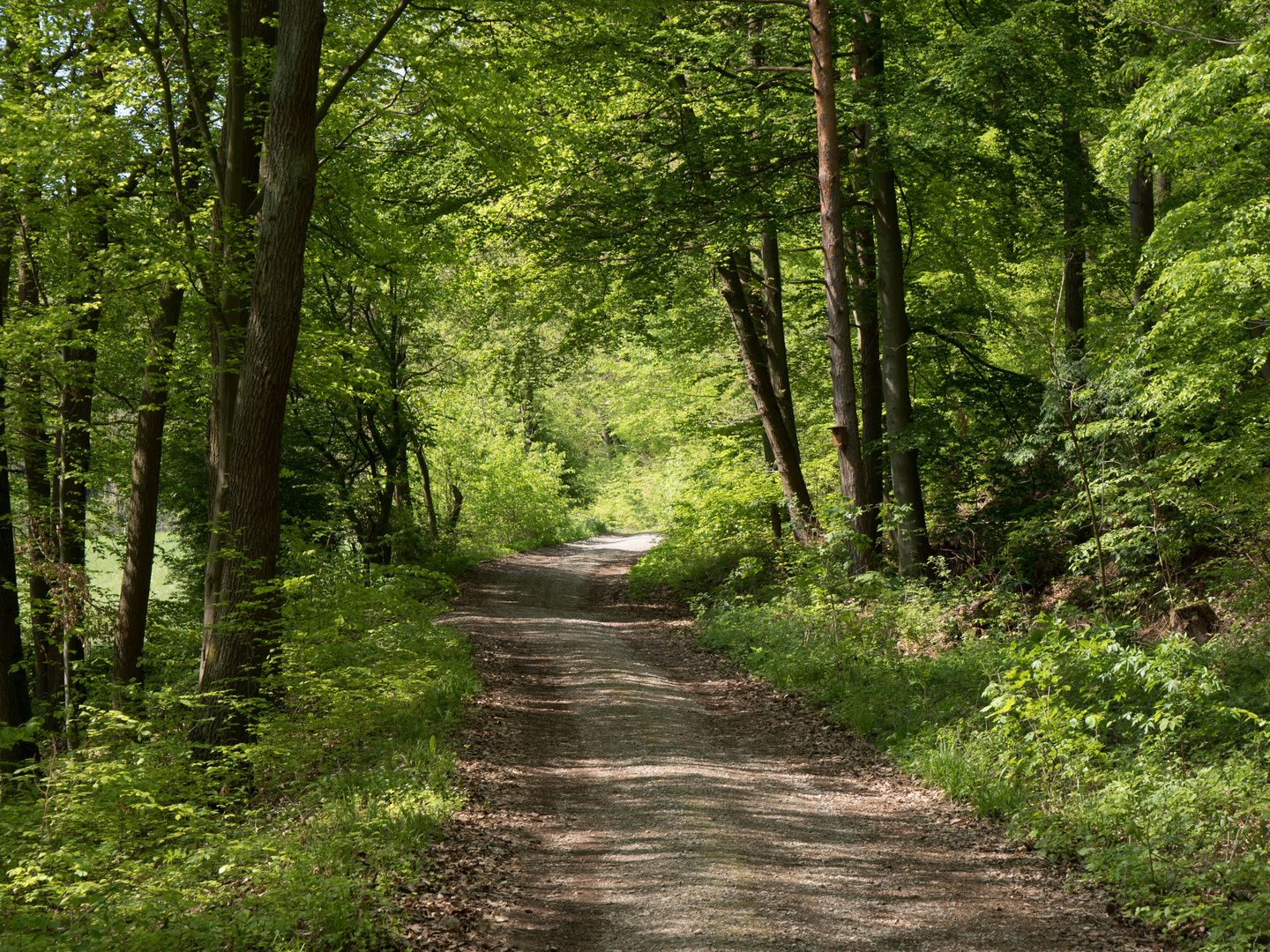 1. Mai Wanderung