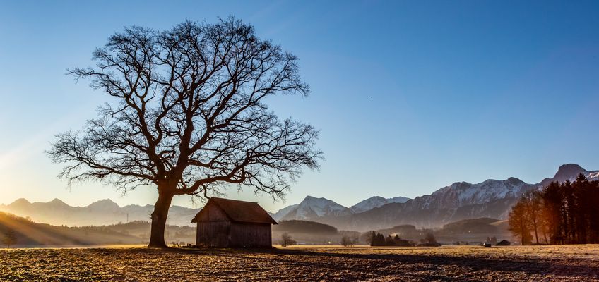 1 Minute nach der blauen Stunde.....