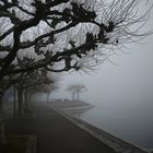 -1- Nebelstimmung in der Seestraße in Konstanz