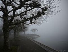 -1- Nebelstimmung in der Seestraße in Konstanz