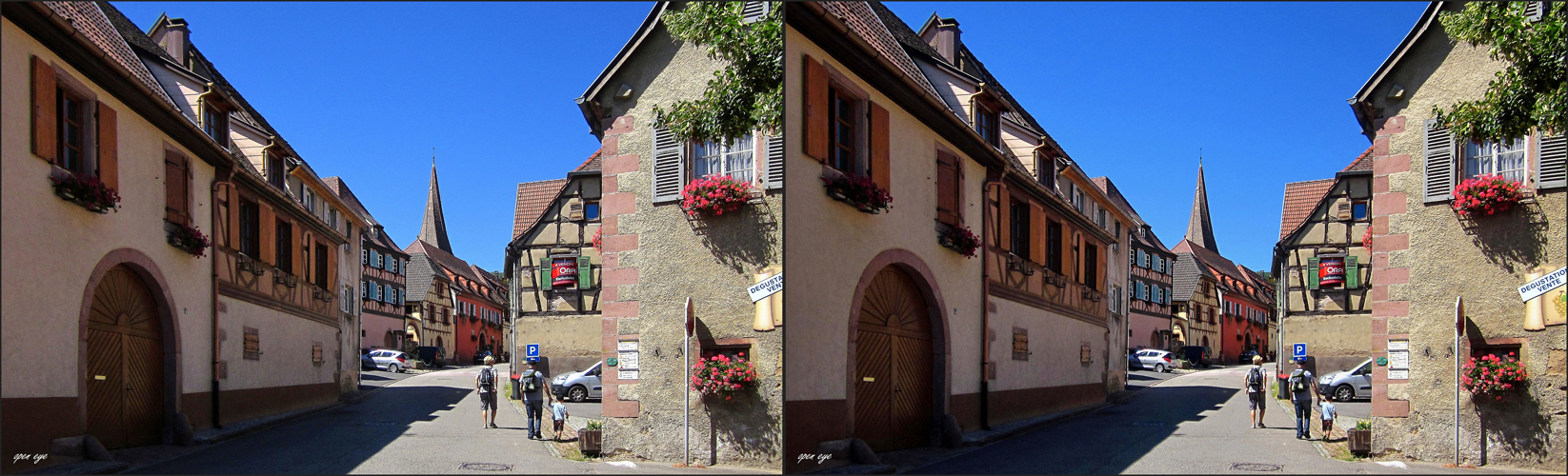 1. _ Niedermorschwihr _ Elsass _ X View _