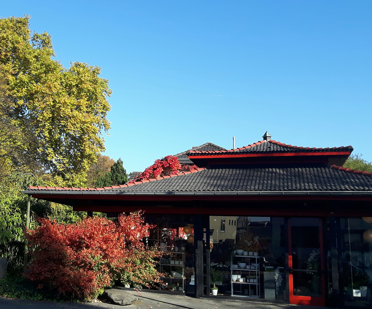 1. November Bonn hinter Nordfriedhof