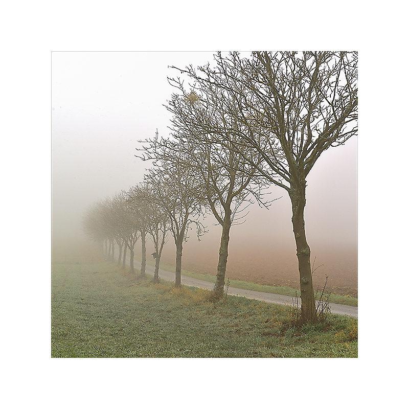 1. November, nix als Nebel