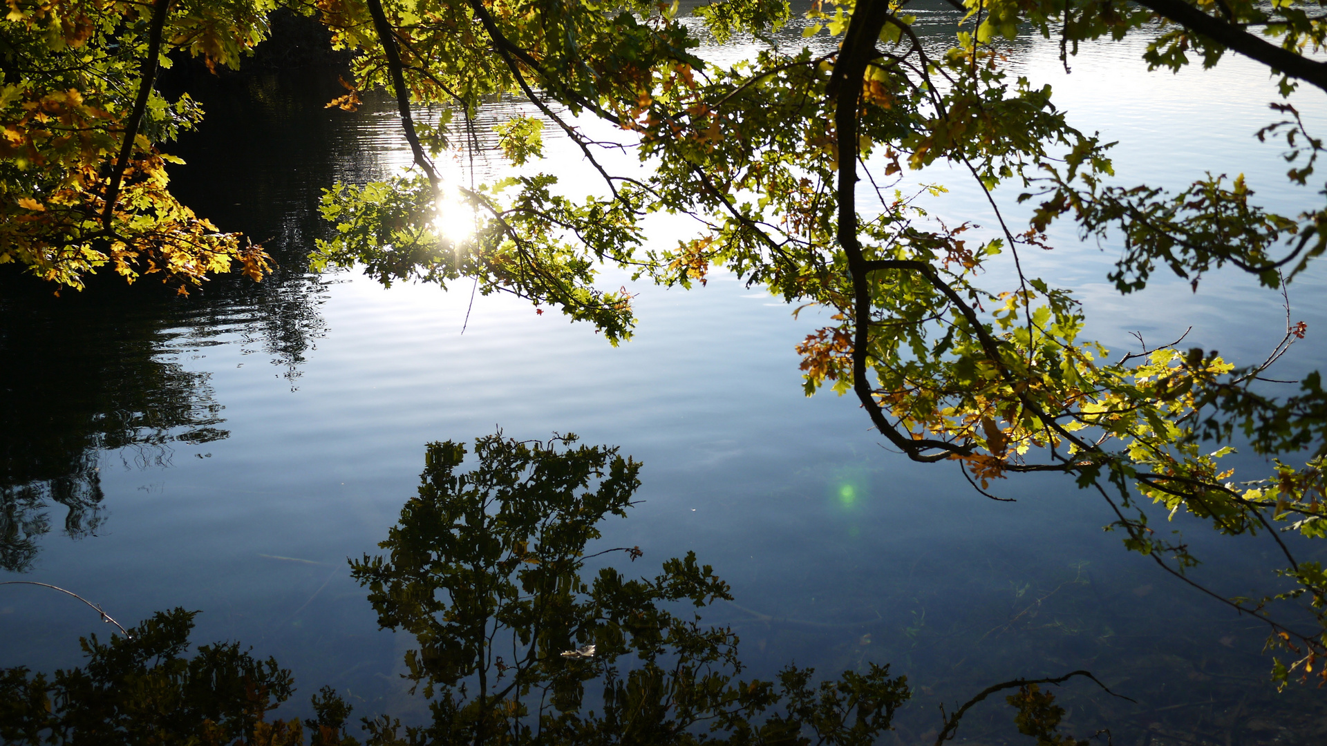 1. Oktober am Elbsee