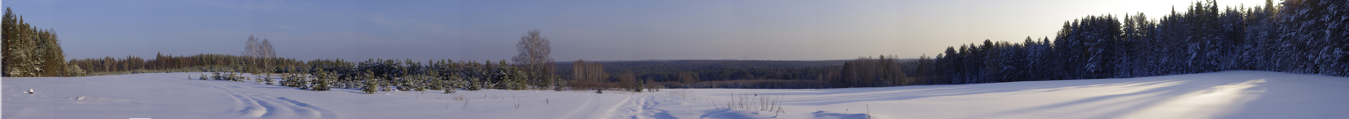 1. Panorama Versuch - russische Taiga