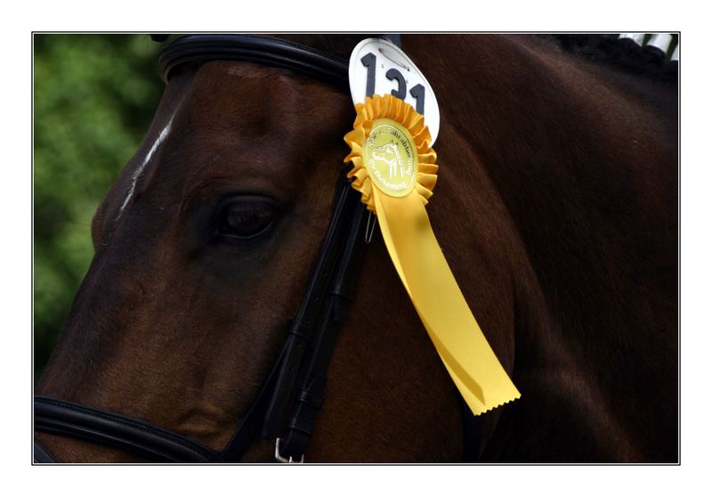 1. Platz für Fabaluga in der L-Dressur