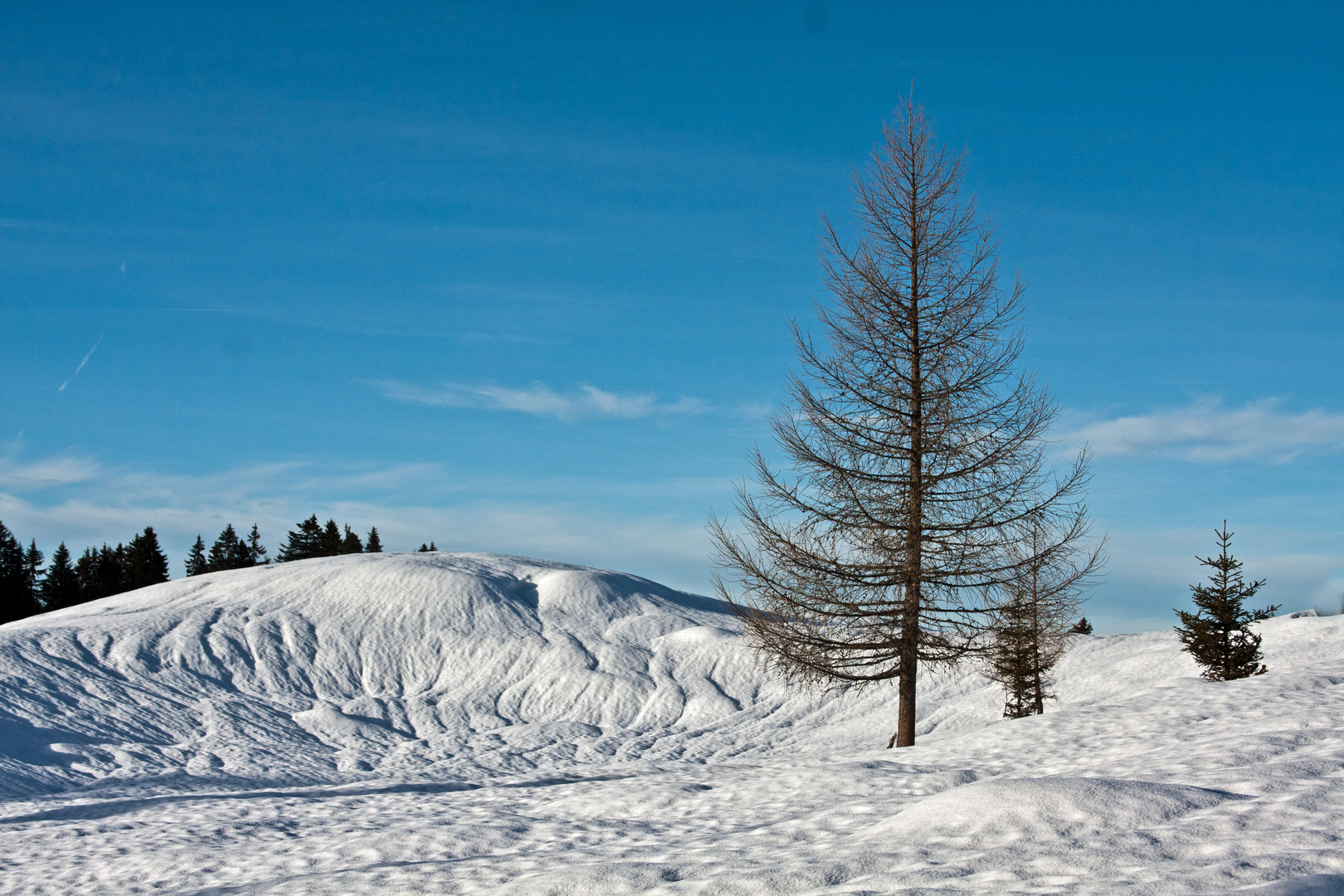 1. Premium Winterwanderweg Deutschlands