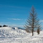 1. Premium Winterwanderweg Deutschlands