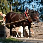 1 PS starker Lastentransporter auf der Friesacher Burgbaustelle