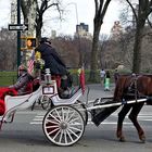 1 PS vehikel im central park march 2018