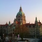 (1) Rathaus von Hannover am Morgen...