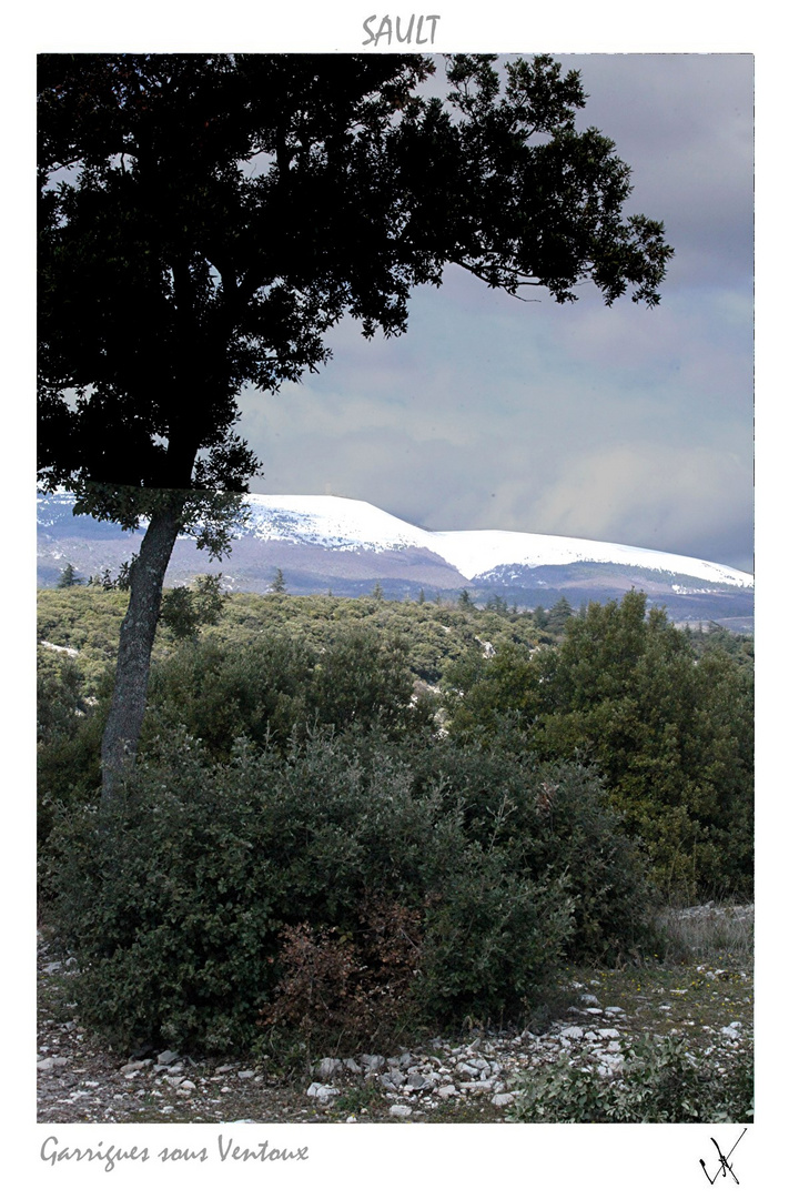 1 SAULT GARRIGUES SOUS VENTOUX IMPRIMABLES