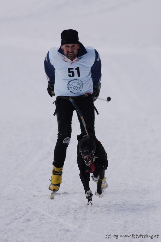 #1 Schlittenhunderennen Haidmühle