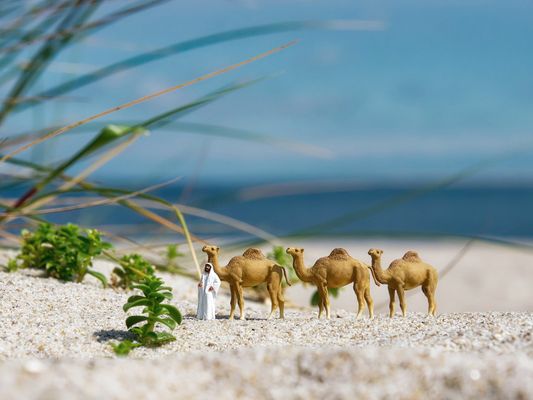 (1) Sindbad - Auf dem Weg