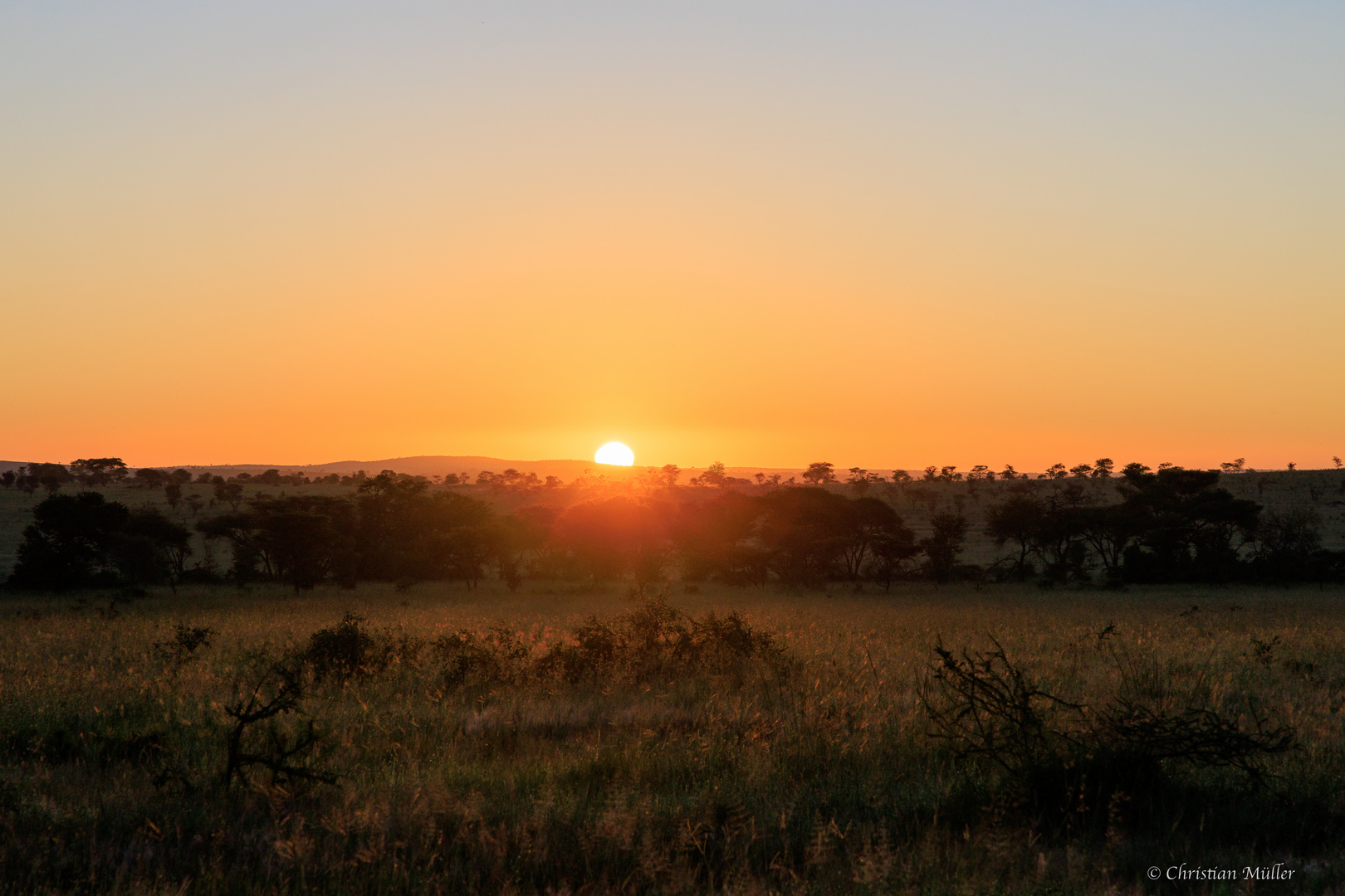 1. Sonnenaufgang in der Serengeti