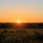 1. Sonnenaufgang in der Serengeti