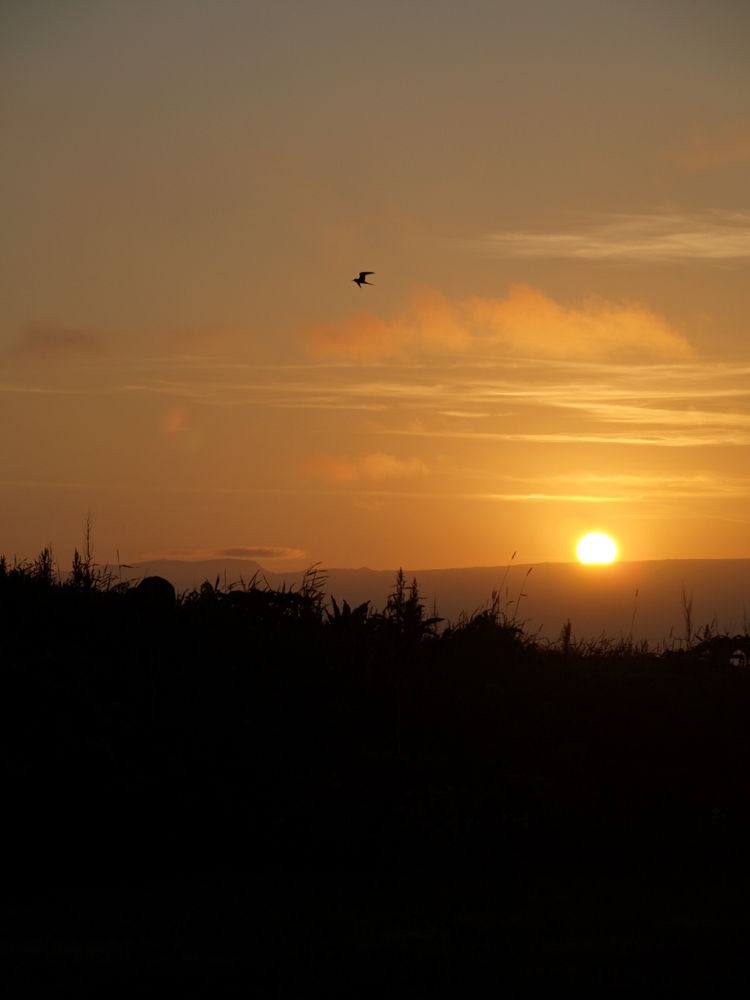 1. Sonnenuntergang in Island