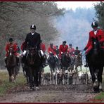 1. Stuhrer Meute Jagd - November 2007